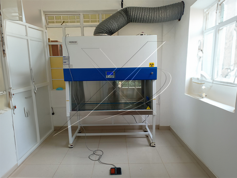 Biosafety Cabinet Class Ii Type A2
