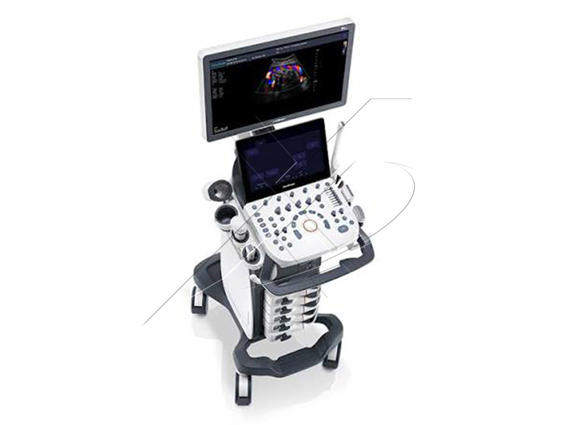 Ultrasound P15